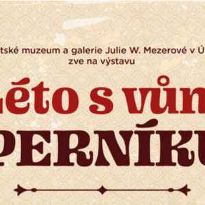 Snimek-obrazovky-2025-07-19-130248.png