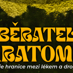Snimek-obrazovky-2025-09-28-172549.png