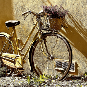 bike-190483-1920.jpg