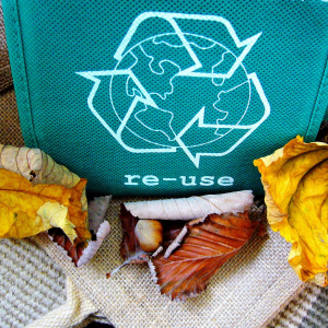 recycle-57136-1920.jpg