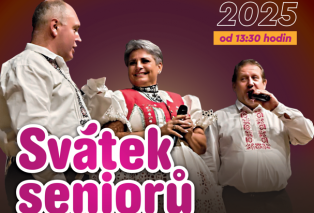 Snimek-obrazovky-2025-08-31-095445.png