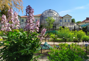 botanicka-Brno.jpg