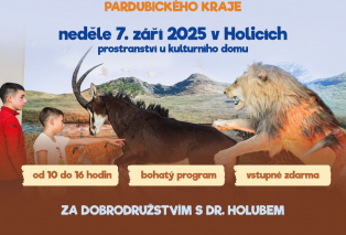 den-pro-rodiny-facebook.jpg