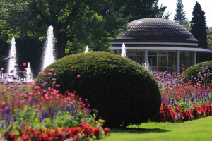 Apartmán v srdci Poděbrad