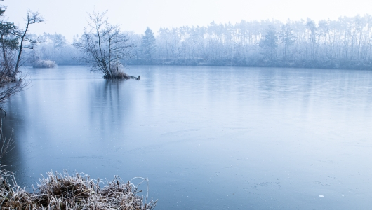 Turistický výlet s ornitologem k Mutěnickým rybníkům