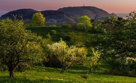 Procházka jarní Pálavou