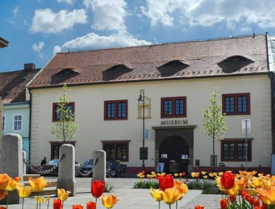 Přednáška - Motýli - ochrana a záchrana?