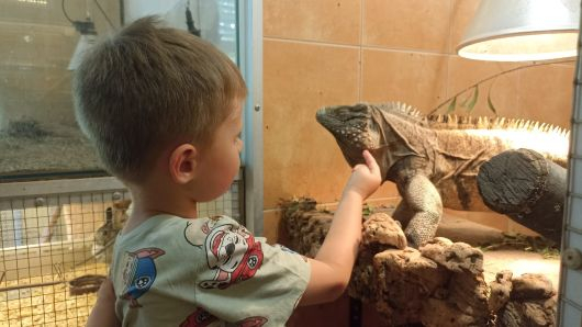 Setkání se zvířaty v Přírodovědné stanici Kamenáčky