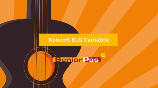 Koncert BLG Cantabile