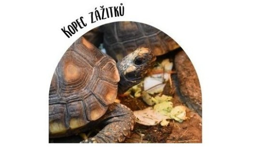 Zooklub pro seniory