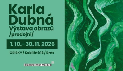 Výstava obrazů - Karla Dubná