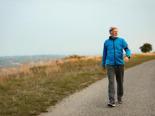 Vzdělávání: Chůze nebo posilovna?