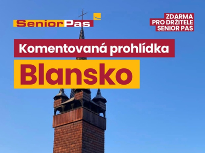 26. 2. - Komentovaná prohlídka