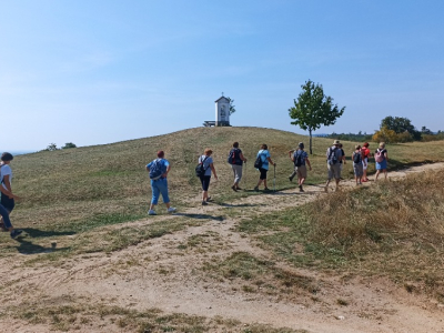 Vinice Šobes – Znojmo