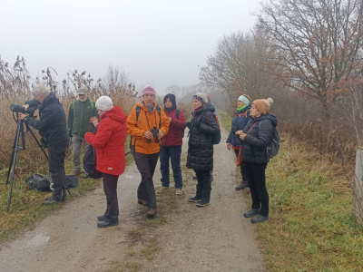 Turistický výlet s ornitologem k Mutěnickým rybníkům